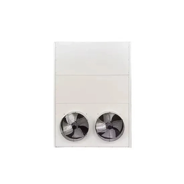 Mozambique Low-Power Optical Module 100G